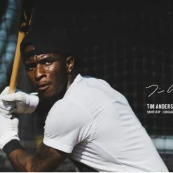 Victus Tim Anderson TA7 Birch Pro Reserve -100percent Sales TA7 0