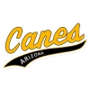 Evoshield Canes Arizona Sticker / Car Decal -100percent Sales evoshield evoshield canes arizona sticker car deca