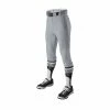 Evoshield Salute Men’s Knicker Baseball Pants – Grey -100percent Sales products wb6000502 1
